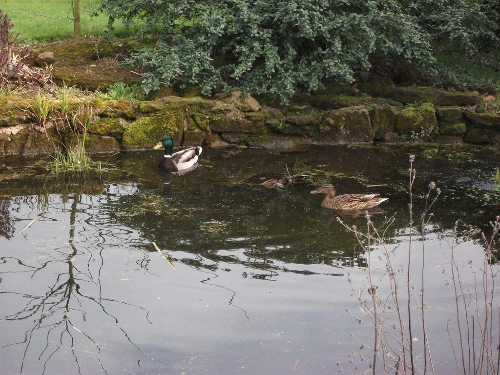 Church Farm B&B Near Telford And Ironbridge Shifnal Esterno foto