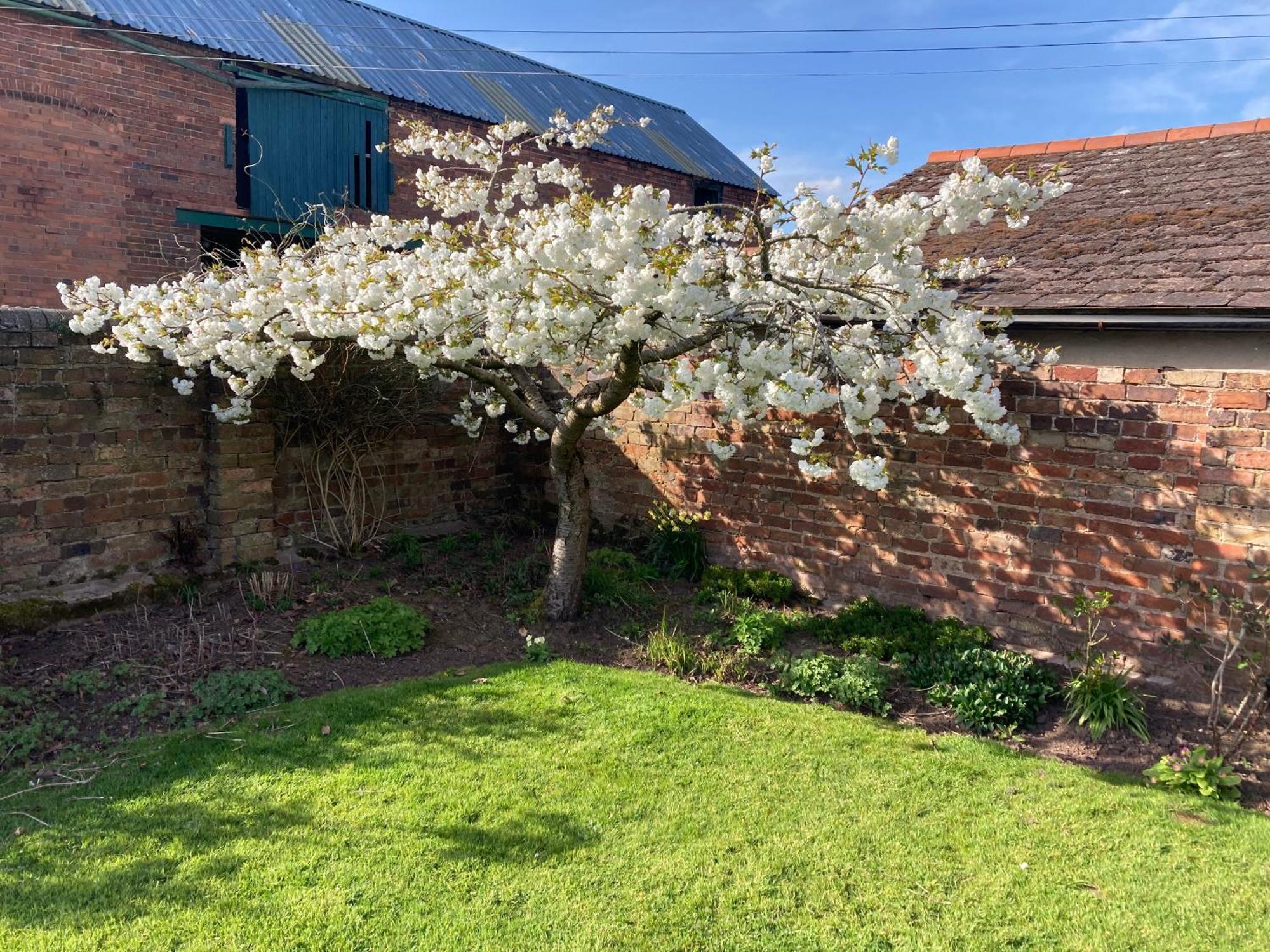 Church Farm B&B Near Telford And Ironbridge Shifnal Esterno foto