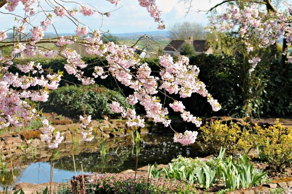 Church Farm B&B Near Telford And Ironbridge Shifnal Esterno foto