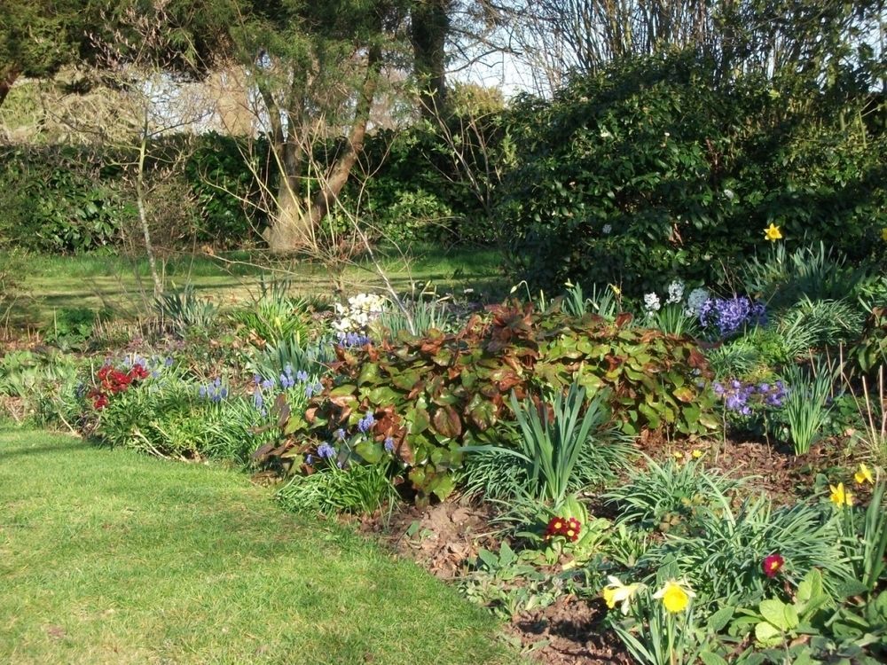 Church Farm B&B Near Telford And Ironbridge Shifnal Esterno foto